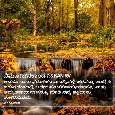 ವಿಮೋಚನಕಾಂಡ 7:3 KANIRV Bible Verse Image