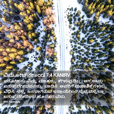 ವಿಮೋಚನಕಾಂಡ 7:4 KANIRV Bible Verse Image