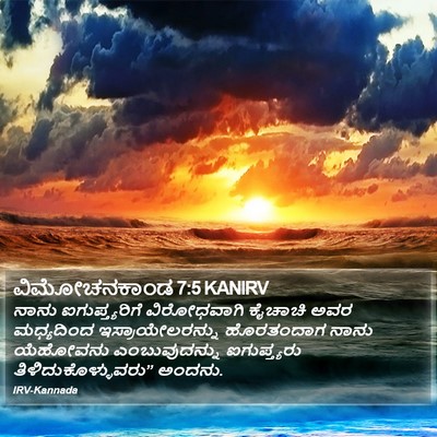ವಿಮೋಚನಕಾಂಡ 7:5 KANIRV Bible Verse Image