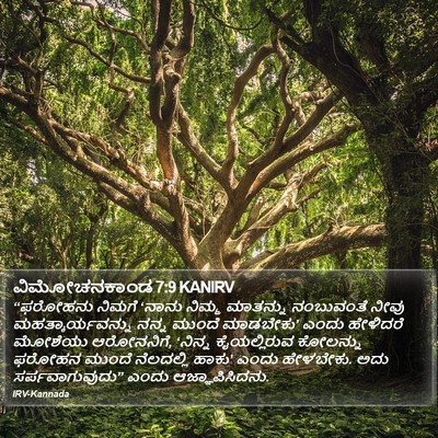 ವಿಮೋಚನಕಾಂಡ 7:9 KANIRV Bible Verse Image