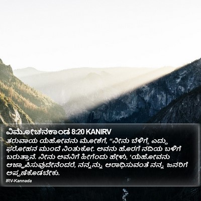 ವಿಮೋಚನಕಾಂಡ 8:20 KANIRV Bible Verse Image