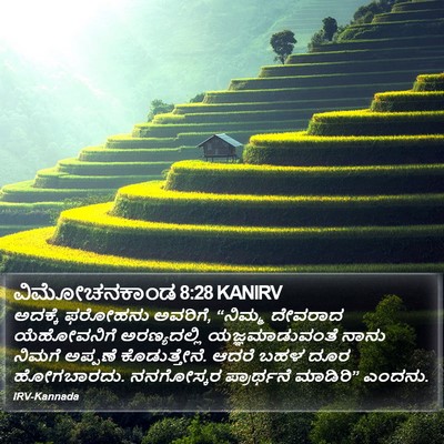 ವಿಮೋಚನಕಾಂಡ 8:28 KANIRV Bible Verse Image