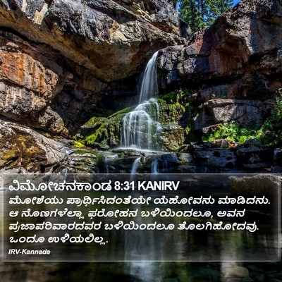 ವಿಮೋಚನಕಾಂಡ 8:31 KANIRV Bible Verse Image