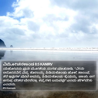 ವಿಮೋಚನಕಾಂಡ 8:5 KANIRV Bible Verse Image