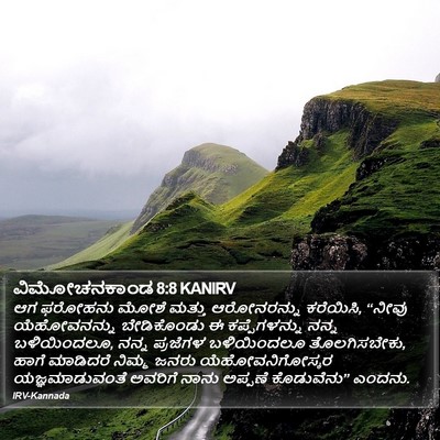 ವಿಮೋಚನಕಾಂಡ 8:8 KANIRV Bible Verse Image
