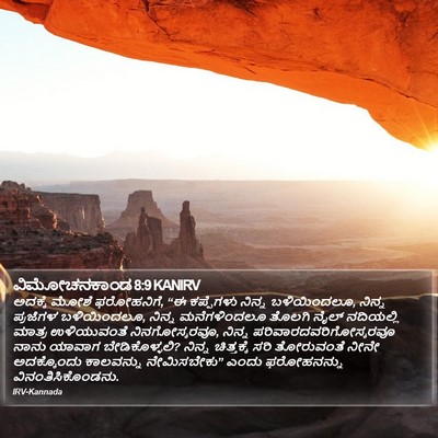 ವಿಮೋಚನಕಾಂಡ 8:9 KANIRV Bible Verse Image