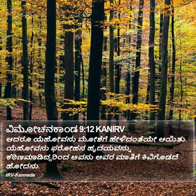 ವಿಮೋಚನಕಾಂಡ 9:12 KANIRV Bible Verse Image