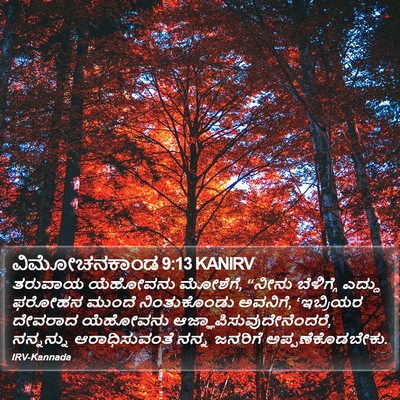 ವಿಮೋಚನಕಾಂಡ 9:13 KANIRV Bible Verse Image
