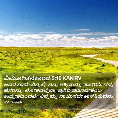 ವಿಮೋಚನಕಾಂಡ 9:16 KANIRV Bible Verse Image