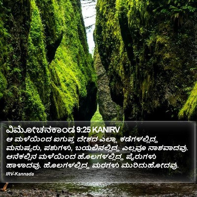 ವಿಮೋಚನಕಾಂಡ 9:25 KANIRV Bible Verse Image