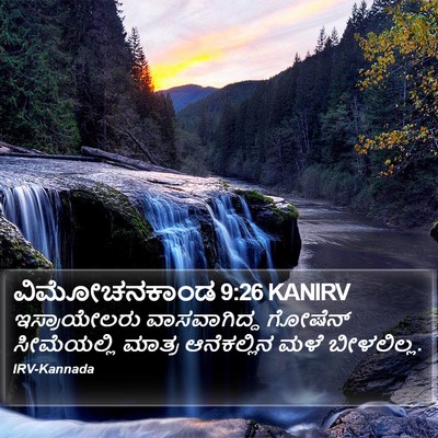 ವಿಮೋಚನಕಾಂಡ 9:26 KANIRV Bible Verse Image