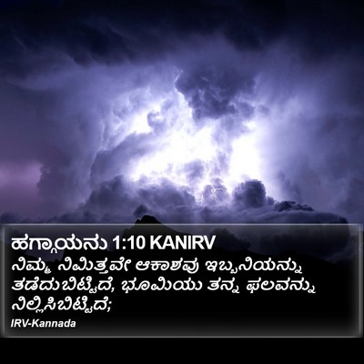 ಹಗ್ಗಾಯನು 1:10 KANIRV Bible Verse Image