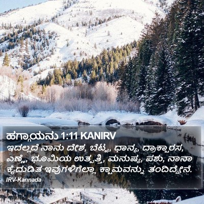 ಹಗ್ಗಾಯನು 1:11 KANIRV Bible Verse Image