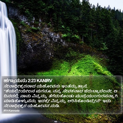 ಹಗ್ಗಾಯನು 2:23 KANIRV Bible Verse Image