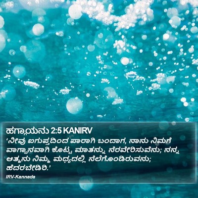 ಹಗ್ಗಾಯನು 2:5 KANIRV Bible Verse Image