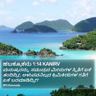 ಹಬಕ್ಕೂಕನು 1:14 KANIRV Bible Verse Image