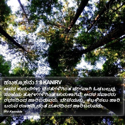 ಹಬಕ್ಕೂಕನು 1:8 KANIRV Bible Verse Image