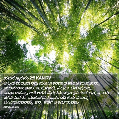 ಹಬಕ್ಕೂಕನು 2:5 KANIRV Bible Verse Image