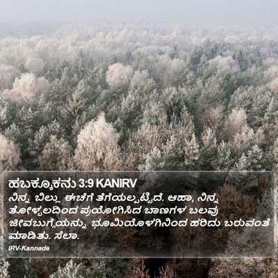 ಹಬಕ್ಕೂಕನು 3:9 KANIRV Bible Verse Image