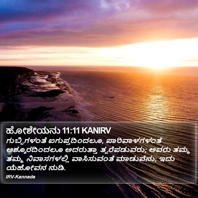 ಹೋಶೇಯನು 11:11 KANIRV Bible Verse Image