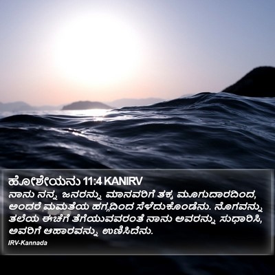 ಹೋಶೇಯನು 11:4 KANIRV Bible Verse Image