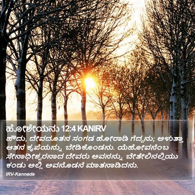 ಹೋಶೇಯನು 12:4 KANIRV Bible Verse Image