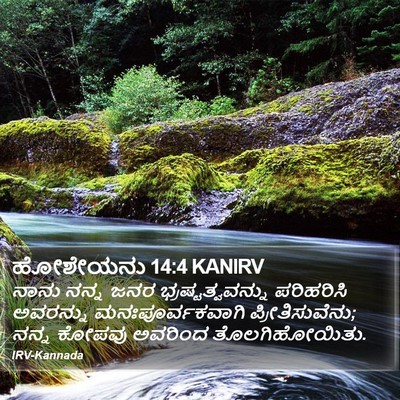 ಹೋಶೇಯನು 14:4 KANIRV Bible Verse Image