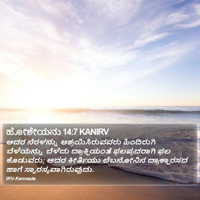 ಹೋಶೇಯನು 14:7 KANIRV Bible Verse Image