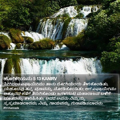 ಹೋಶೇಯನು 5:13 KANIRV Bible Verse Image