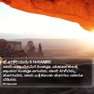 ಹೋಶೇಯನು 5:14 KANIRV Bible Verse Image