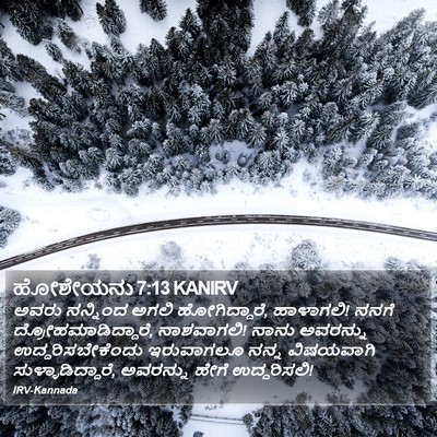 ಹೋಶೇಯನು 7:13 KANIRV Bible Verse Image