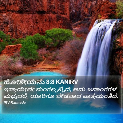 ಹೋಶೇಯನು 8:8 KANIRV Bible Verse Image