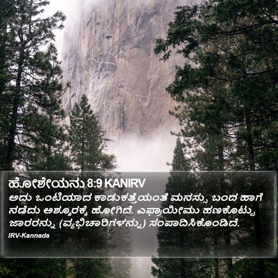 ಹೋಶೇಯನು 8:9 KANIRV Bible Verse Image