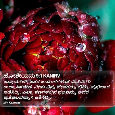 ಹೋಶೇಯನು 9:1 KANIRV Bible Verse Image