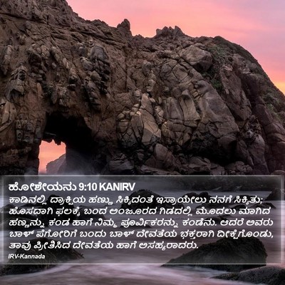 ಹೋಶೇಯನು 9:10 KANIRV Bible Verse Image