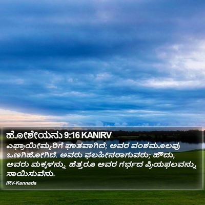 ಹೋಶೇಯನು 9:16 KANIRV Bible Verse Image