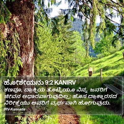 ಹೋಶೇಯನು 9:2 KANIRV Bible Verse Image
