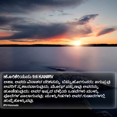 ಹೋಶೇಯನು 9:6 KANIRV Bible Verse Image