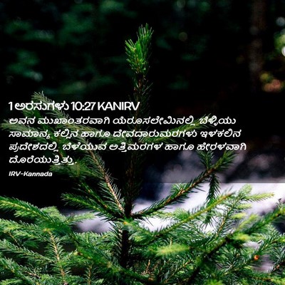Picture 02 - 1 ಅರಸುಗಳು 10:27 KANIRV - ಅವನ ಮುಖಾಂತರವಾಗಿ - Bible Verse Picture