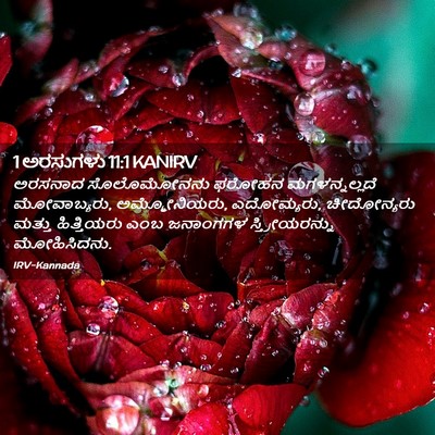 Picture 02 - 1 ಅರಸುಗಳು 11:1 KANIRV - ಅರಸನಾದ ಸೊಲೊಮೋನನು - Bible Verse Picture