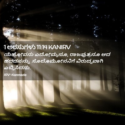Picture 02 - 1 ಅರಸುಗಳು 11:14 KANIRV - ಯೆಹೋವನು ಎದೋಮ್ಯನೂ, - Bible Verse Picture