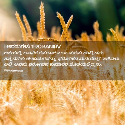 Picture 02 - 1 ಅರಸುಗಳು 11:20 KANIRV - ಆಕೆಯಲ್ಲಿ ಅವನಿಗೆ - Bible Verse Picture