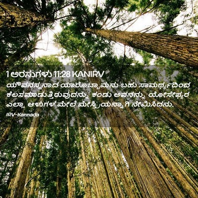 Picture 02 - 1 ಅರಸುಗಳು 11:28 KANIRV - ಯೌವನಸ್ಥನಾದ - Bible Verse Picture