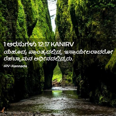 Picture 02 - 1 ಅರಸುಗಳು 12:17 KANIRV - ಯೆಹೂದ್ಯ - Bible Verse Picture