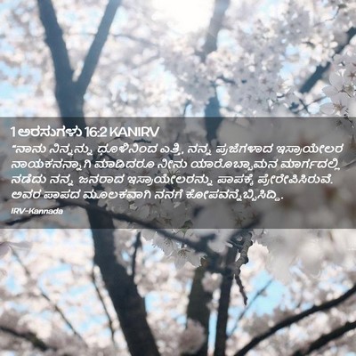 Picture 02 - 1 ಅರಸುಗಳು 16:2 KANIRV - “ನಾನು ನಿನ್ನನ್ನು - Bible Verse Picture