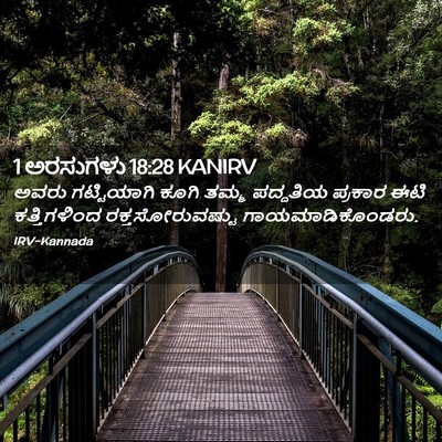 Picture 02 - 1 ಅರಸುಗಳು 18:28 KANIRV - ಅವರು ಗಟ್ಟಿಯಾಗಿ - Bible Verse Picture