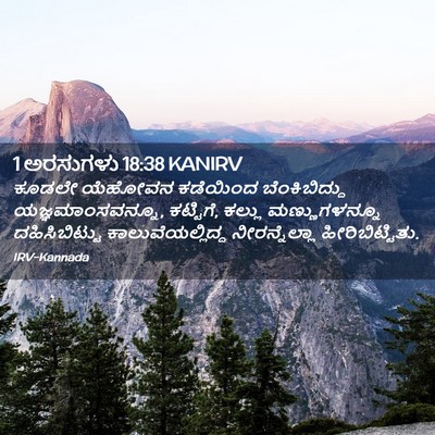Picture 02 - 1 ಅರಸುಗಳು 18:38 KANIRV - ಕೂಡಲೇ ಯೆಹೋವನ - Bible Verse Picture