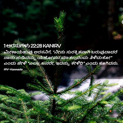 Picture 02 - 1 ಅರಸುಗಳು 22:28 KANIRV - ಮೀಕಾಯೆಹುವು - Bible Verse Picture