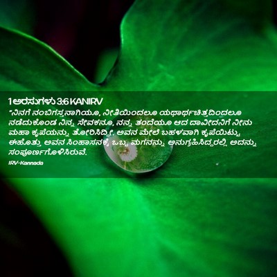 Picture 02 - 1 ಅರಸುಗಳು 3:6 KANIRV - “ನಿನಗೆ - Bible Verse Picture