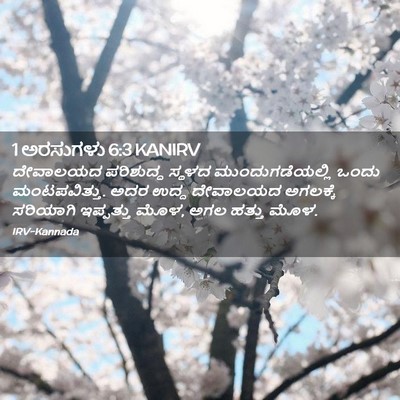 Picture 02 - 1 ಅರಸುಗಳು 6:3 KANIRV - ದೇವಾಲಯದ ಪರಿಶುದ್ಧ - Bible Verse Picture